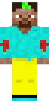 pokedigger27