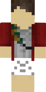 Skin falmen