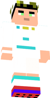 mi skin 