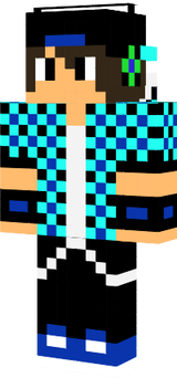 すきん