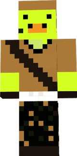 army duck