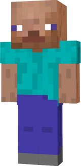 goosesurfer