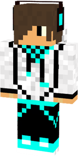 skin