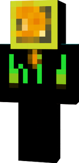pixelface