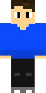 porkinbr skin