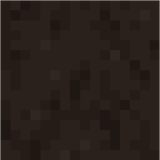 brown_mushroom_block