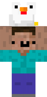 steeve