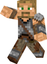 viking skin