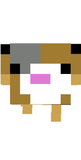 pig