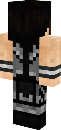Preview of texture: Seth Rollins