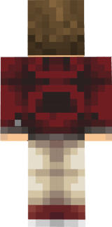 TomTomStar