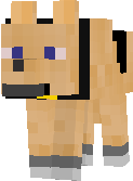 Kill
