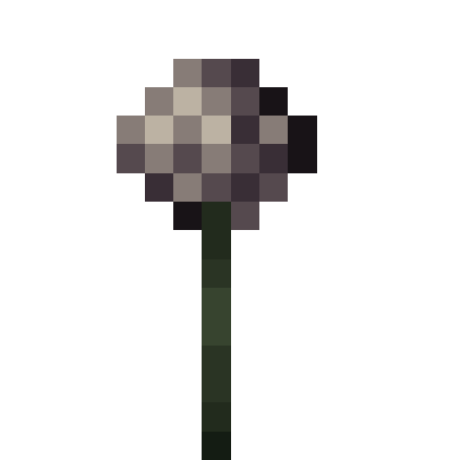 Preview of texture: allium