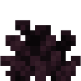 bubble_coral