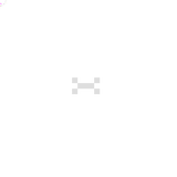 bone