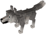 wolf