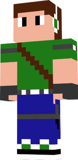 Minecraft skin Evoled