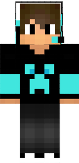 skin