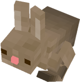 conejo