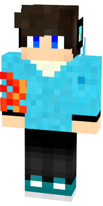 Preview of texture: Optional