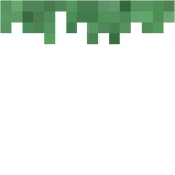 grass_block_side_overlay