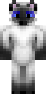 skin.me