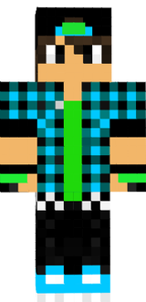 skin