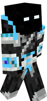 Ender Assassin