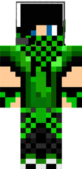 Skyner
