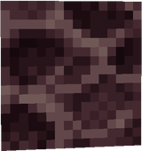 brain_coral_block