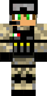 Skiltroi
