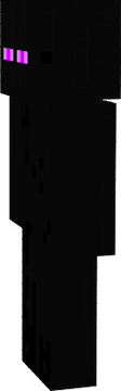 ender skin
