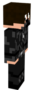 Skin Principal
