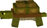 żułw