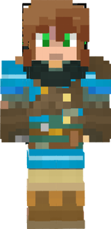 ronnys skin totk