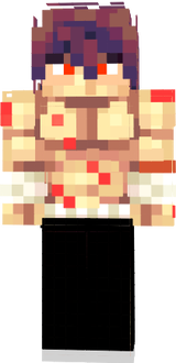 elsan