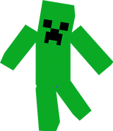myskin2