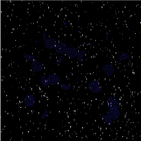 end_portal