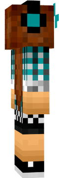 skin