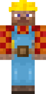 steve construtor