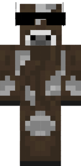 zsxzx