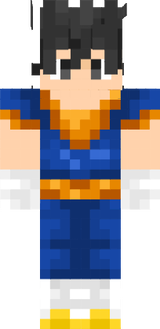 vegitto