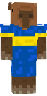 skin minecra
