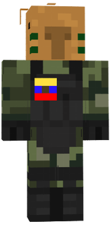 skin