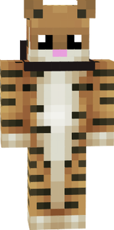 Ajdin