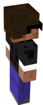 wd