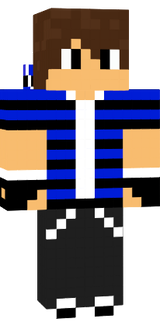 skin er