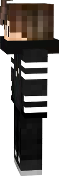Skin of NerfF