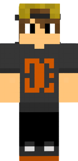 paneleiro1