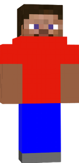 steve 
